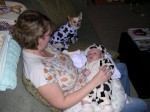 Mommy and the cows