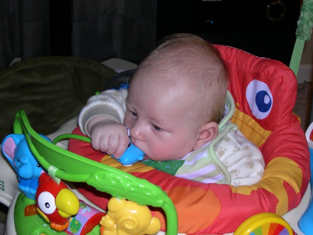 Nicky tasting a bug on the Jumperoo