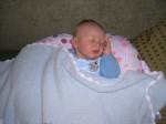 Nicky sleeping in the Boppy while Mommy and Daddy eat breakfast