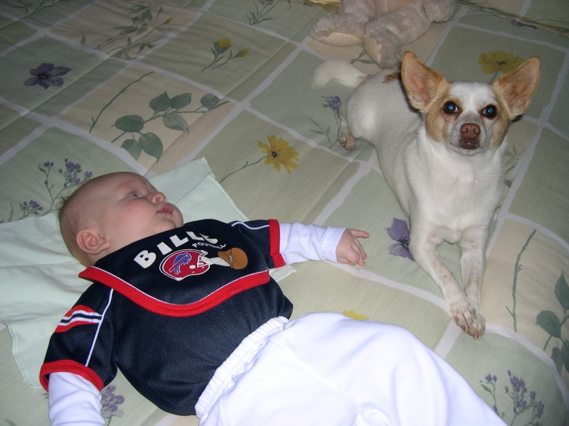 Nicky in his Buffalo Bills outfit