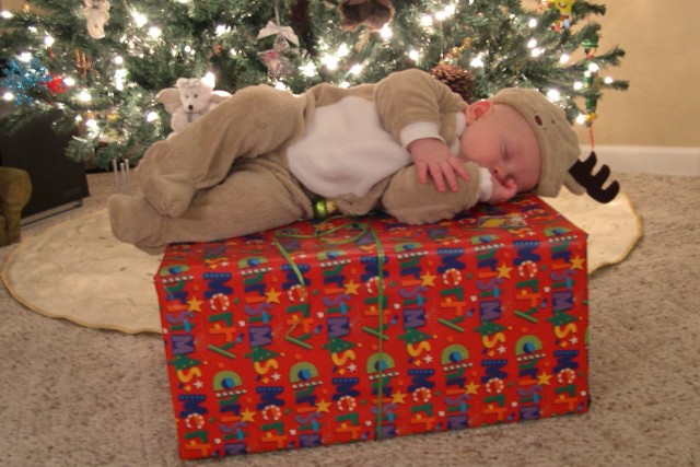 Reindeer sleeping on a present