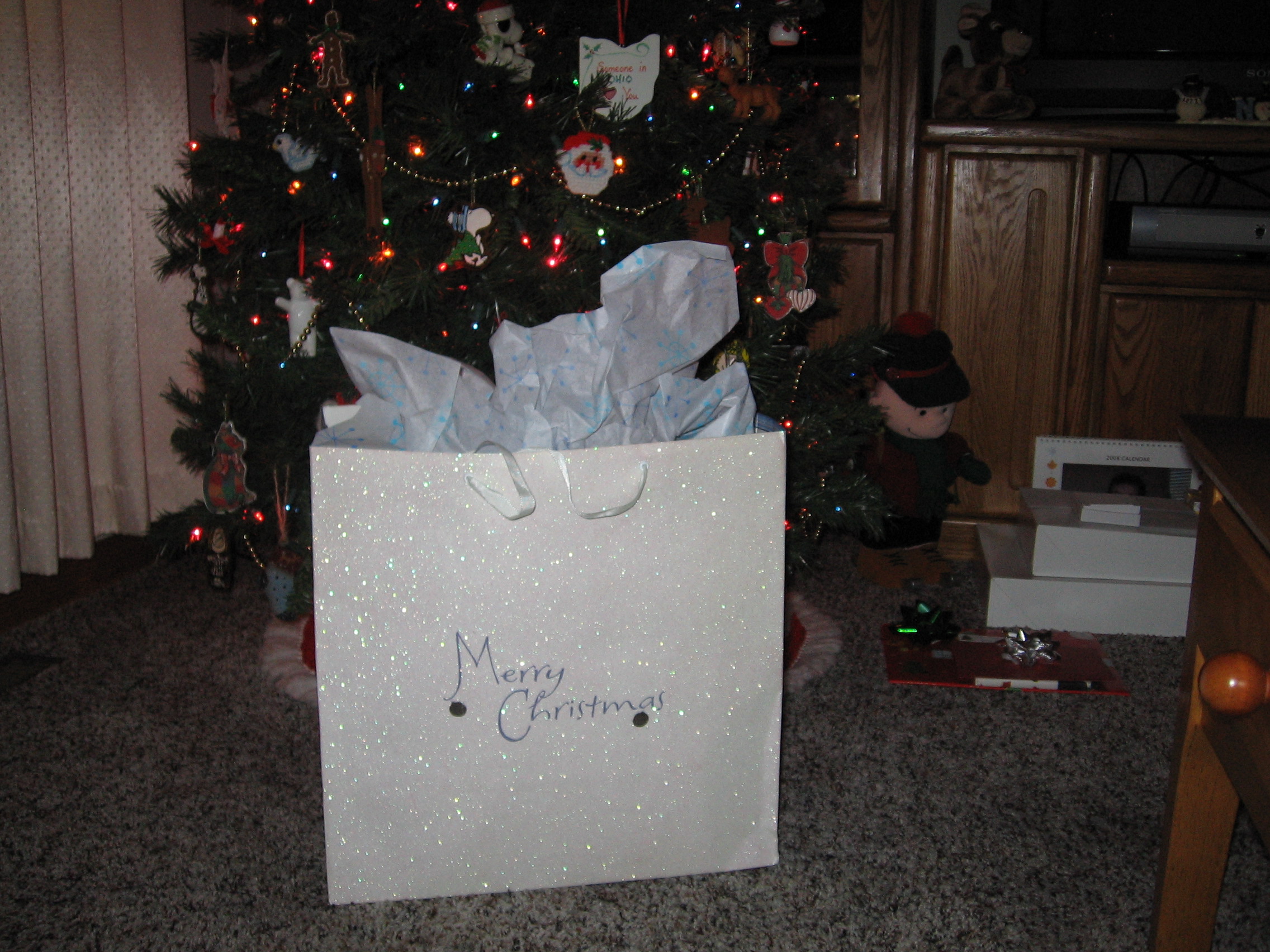 Christmas 2007 033