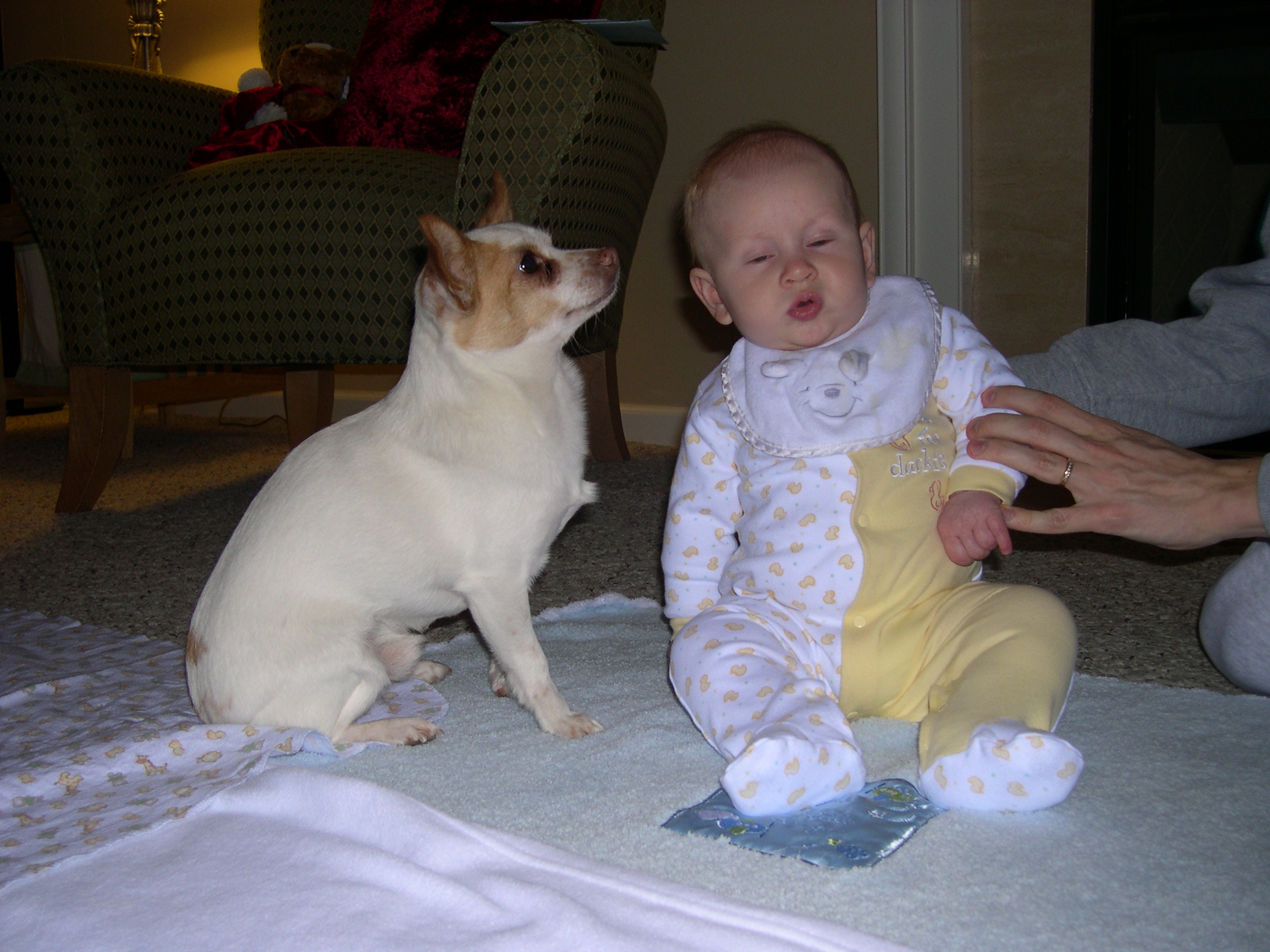 Keanu and Nicky sitting