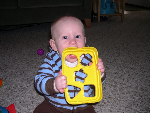 Nicky likes the box for his blocks