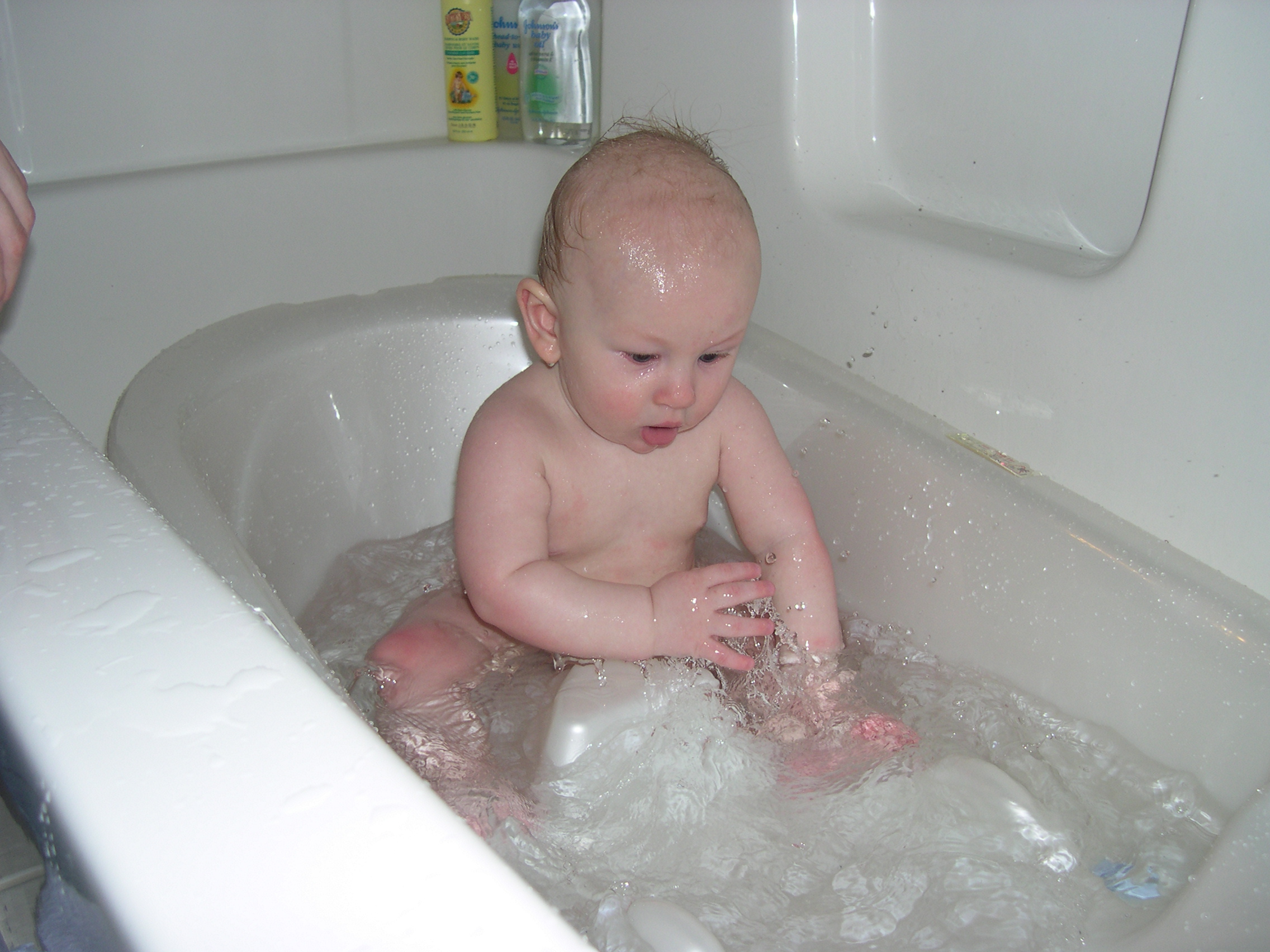 Nicky in his new bathtub