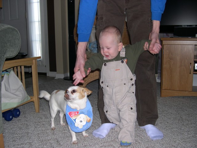 Nicky trying to take his bib off of Keanu