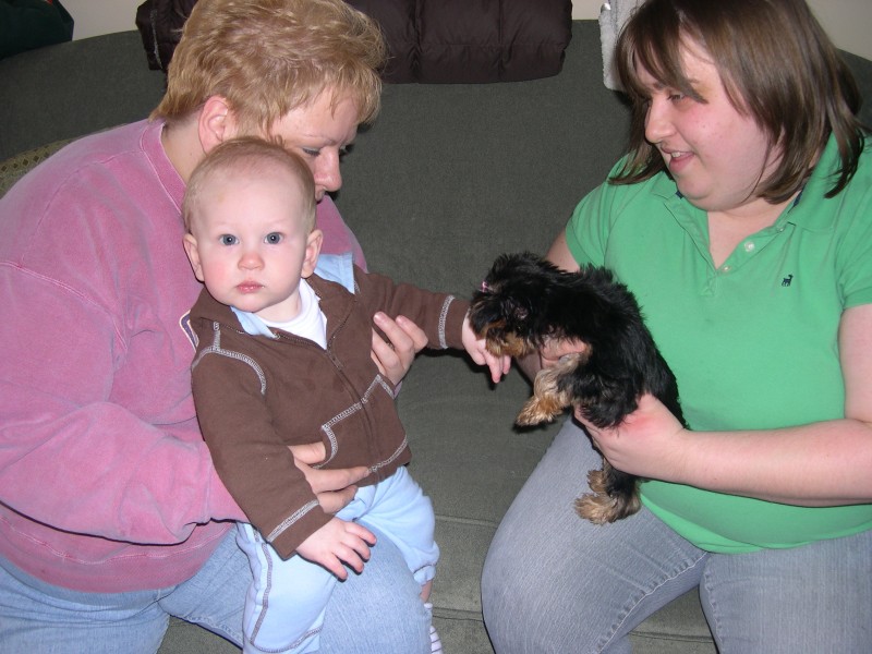 Nicky meets Cloe, Dawn's new puppy