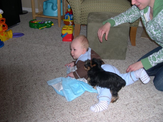 Cloe playing with Nicky