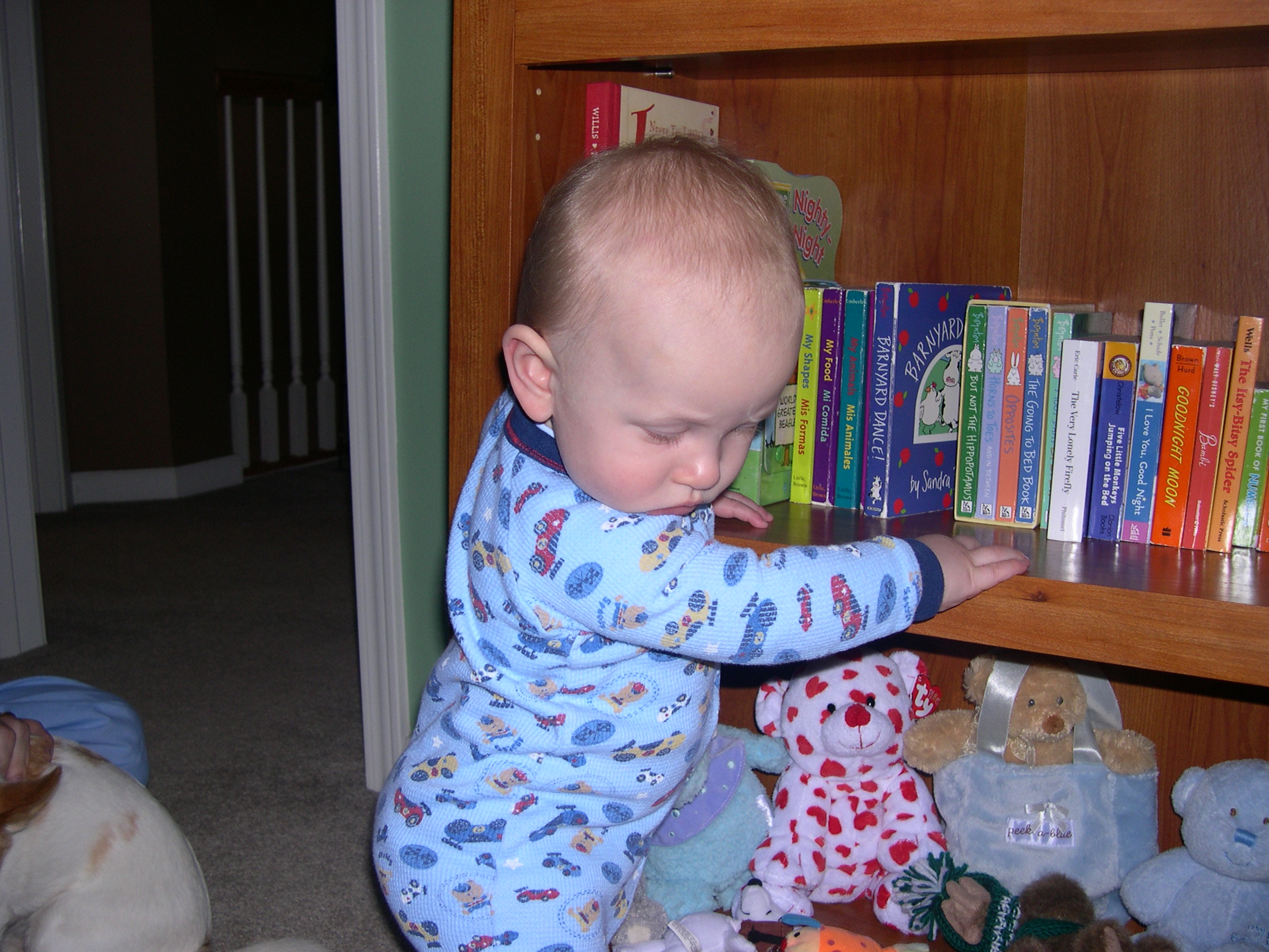 Nicky likes to play at his bookshelf