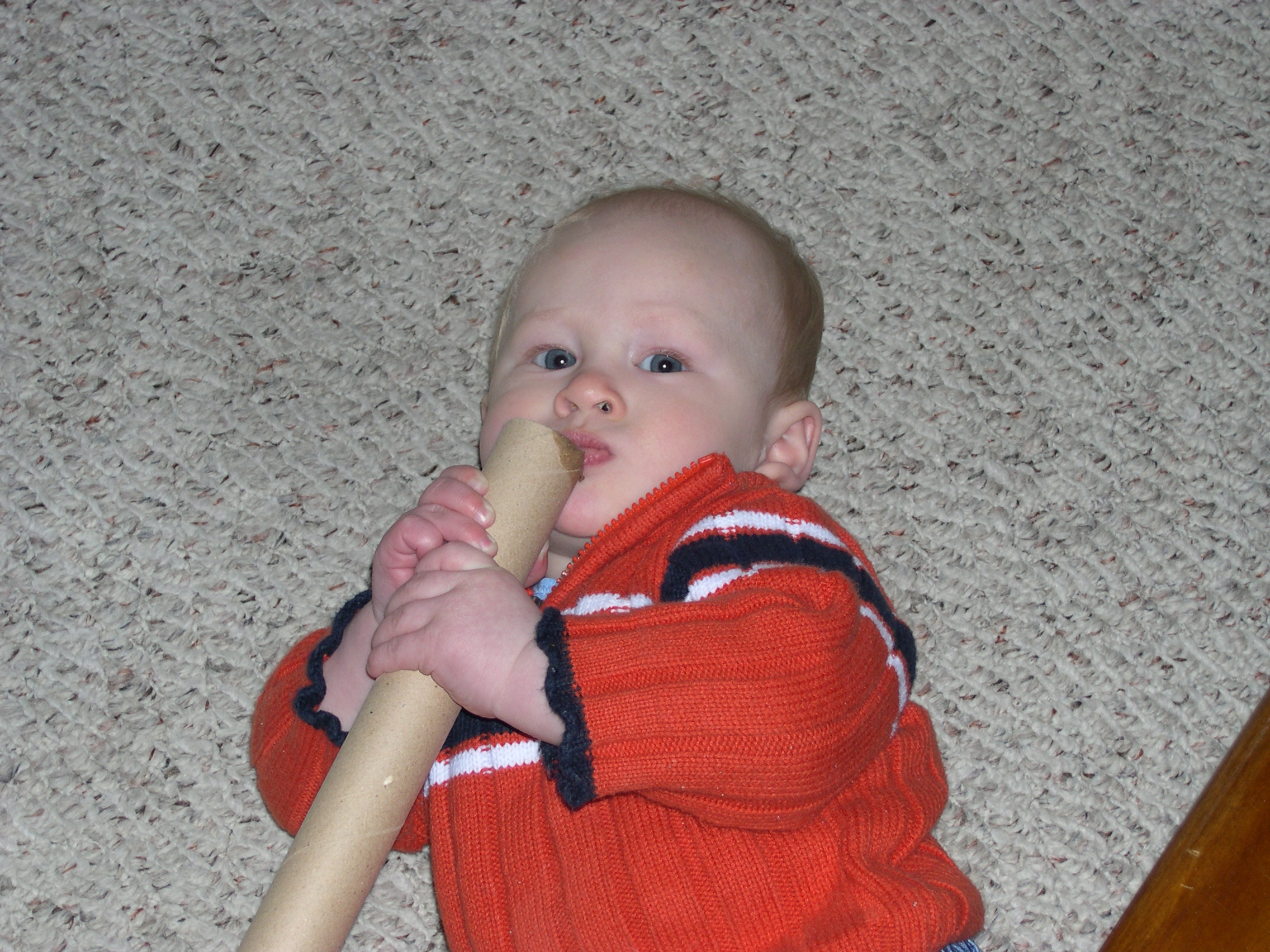 Nicky and the wrapping paper tube