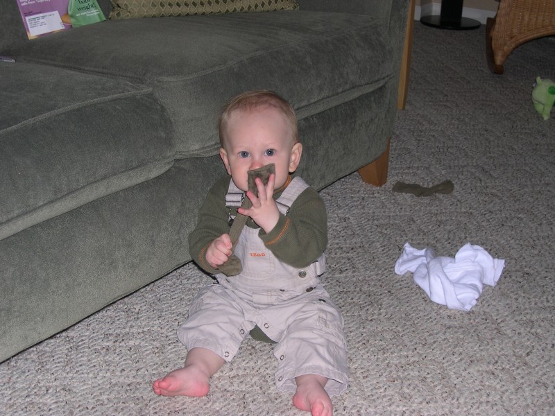 Why do we keep getting toys? Nicky could play with his socks all day long!