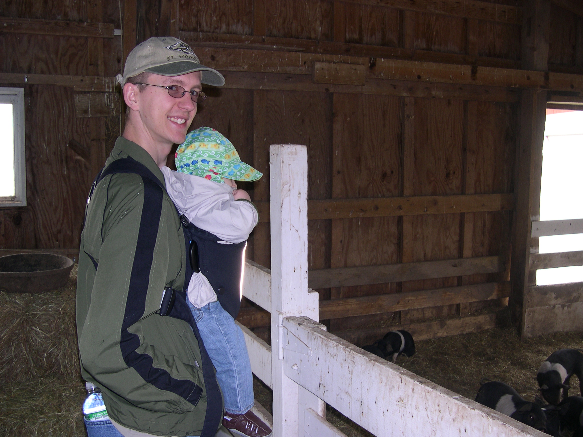 Nicky was very interested in the piglets