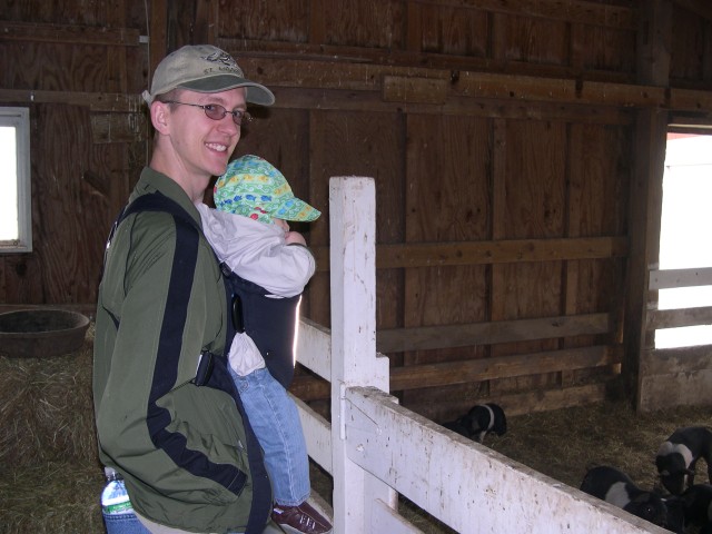 Nicky was very interested in the piglets