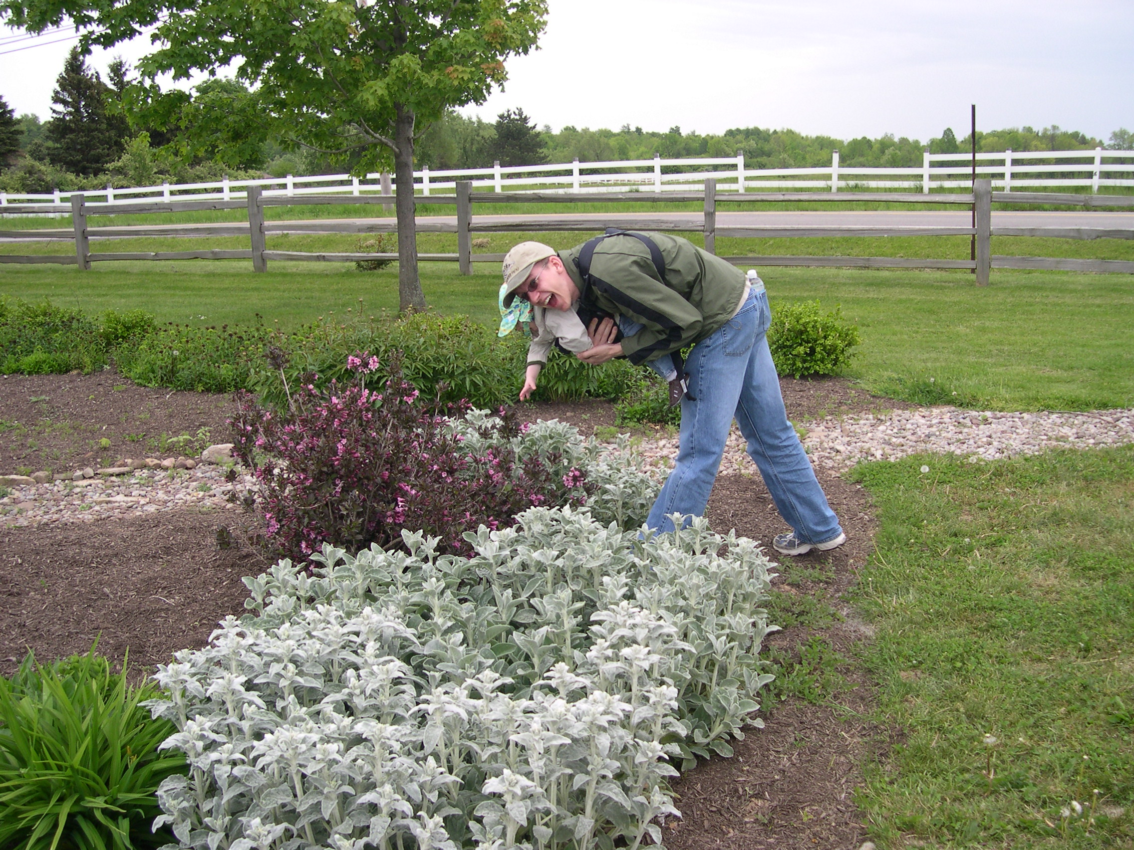 Smelling the flowers again