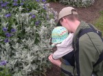 Nicky touching the Lamb's Ear - so soft!