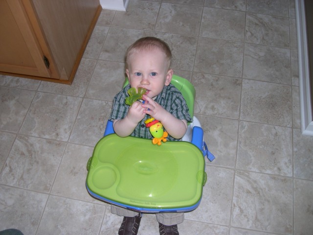 Nicky getting ready for his first haircut