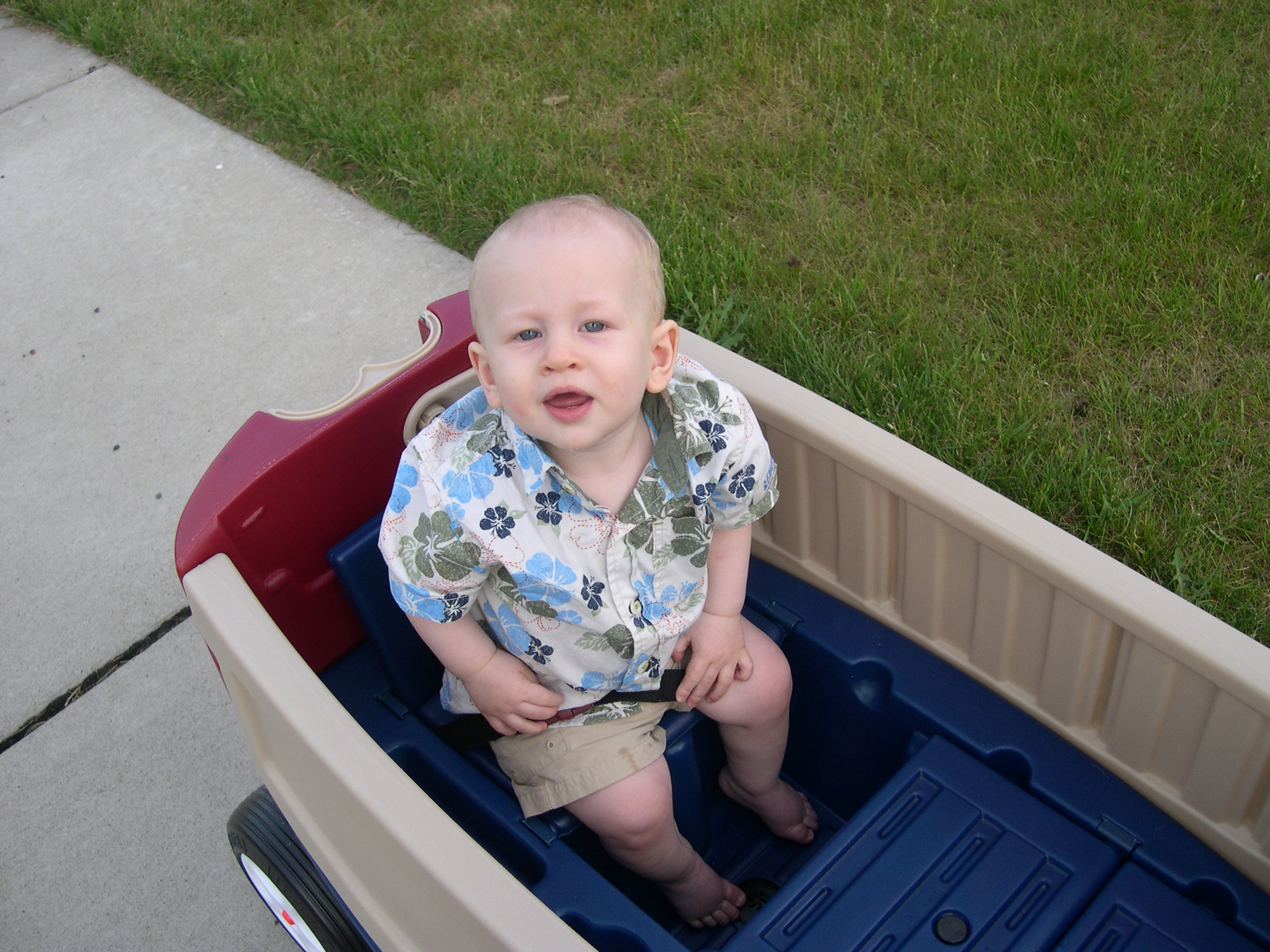 Nicky in the wagon