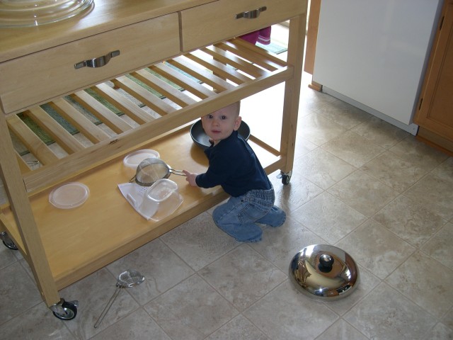 Nicky under the kitchen cart