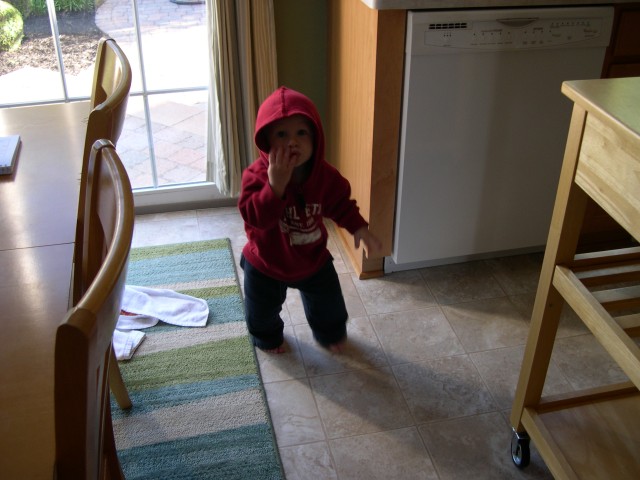 Running around the kitchen table