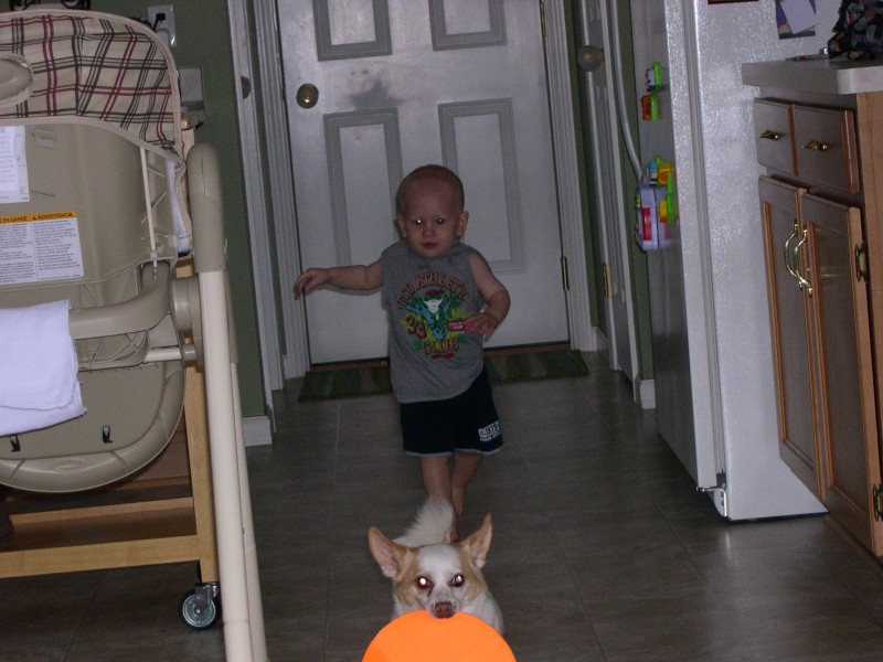 Nicky and Keanu playing with the frisbee