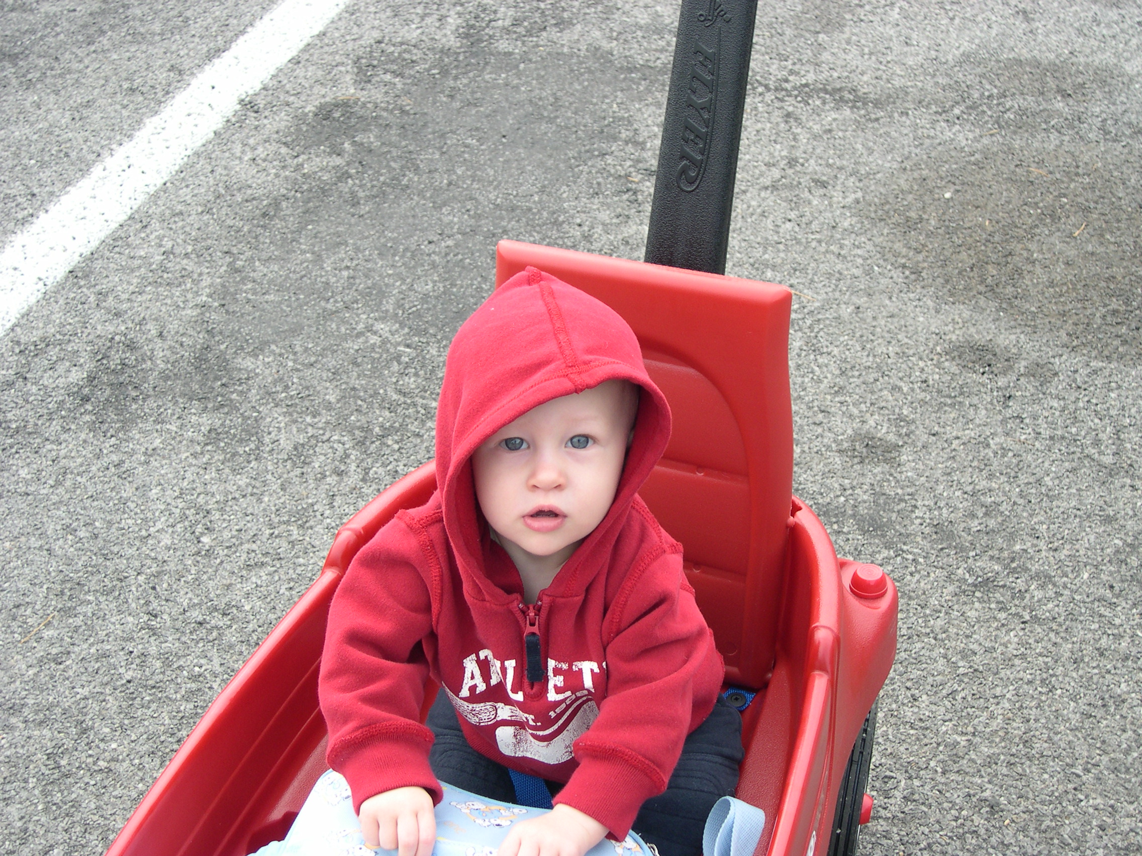 Nicky ready to check out the zoo!