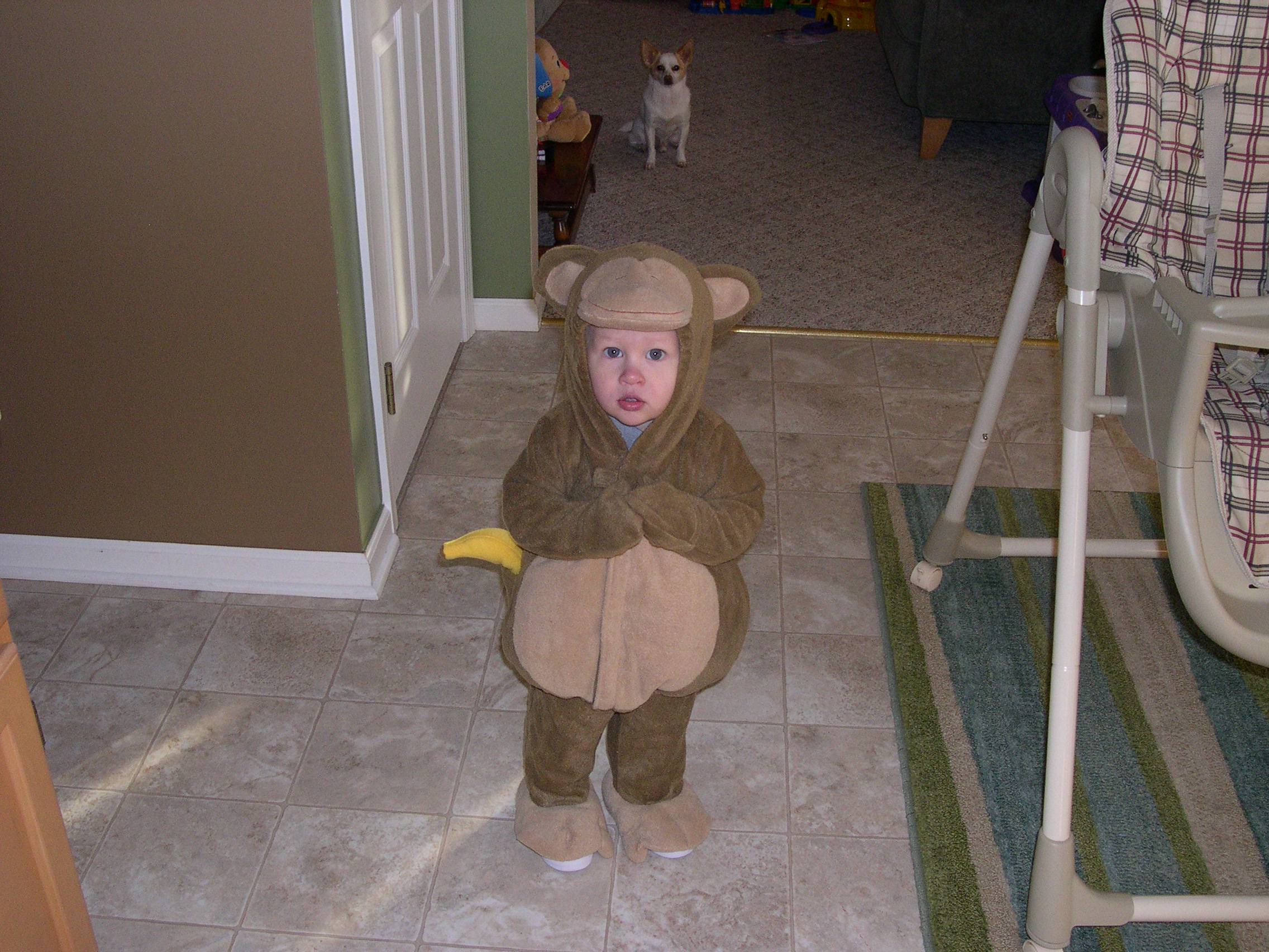 Nicky Monkey