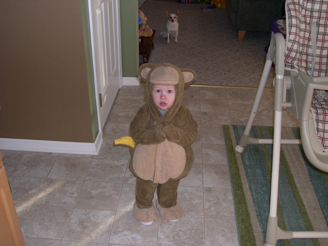 Nicky Monkey