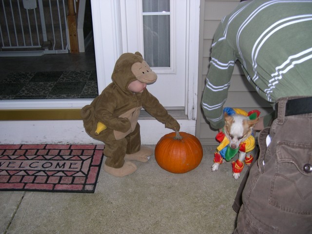 Keanu joining Nicky and the pumpkin for a photo op