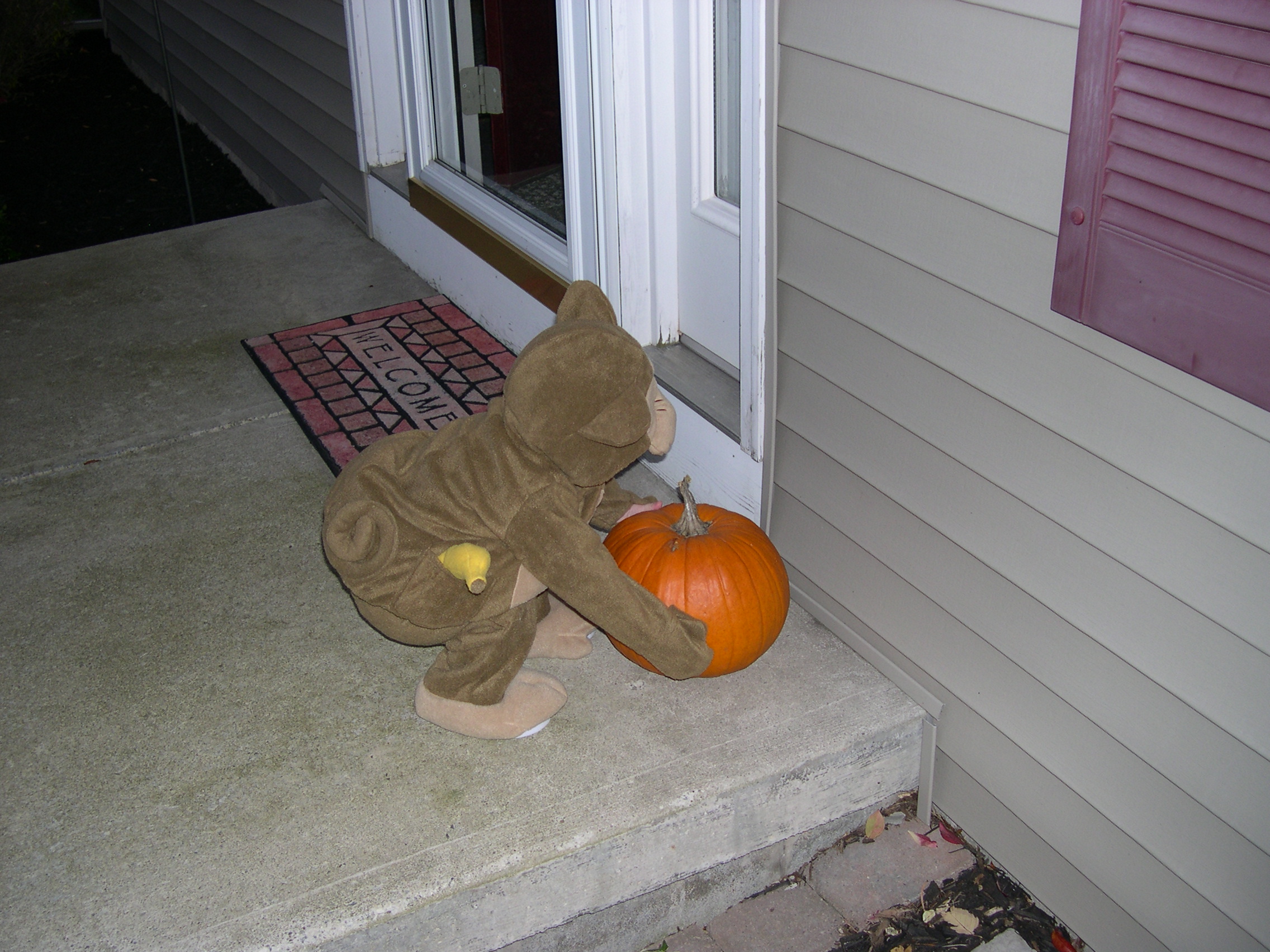 Nicky and the pumpkin