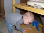 Climbing onto the kitchen cart