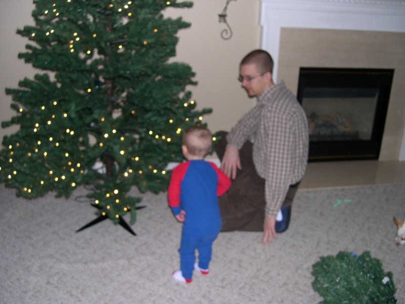 Nicky helping Daddy with the Christmas tree