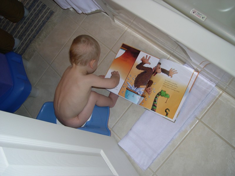 Nicky on the potty reading "Who's in the Bathroom?"