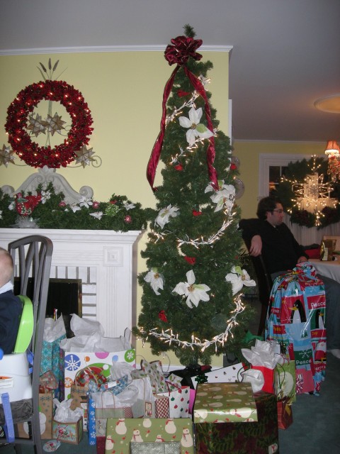 Christmas-2008 031