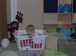 Fun in the laundry basket