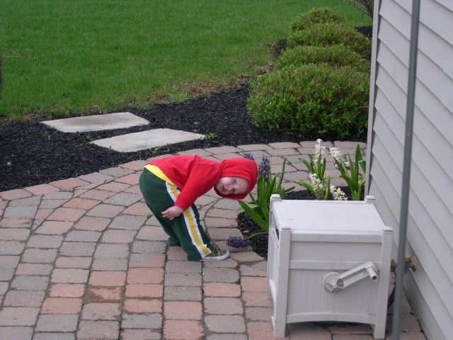 Nick bending to smell the flowers, sorta