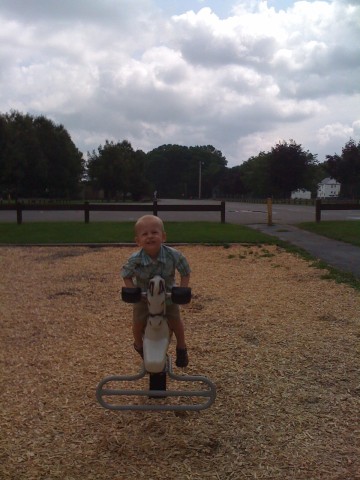 Riding the white horse at Barnard Park