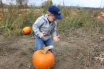 IMG_0073.JPG