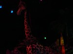 Orlando 058.jpg