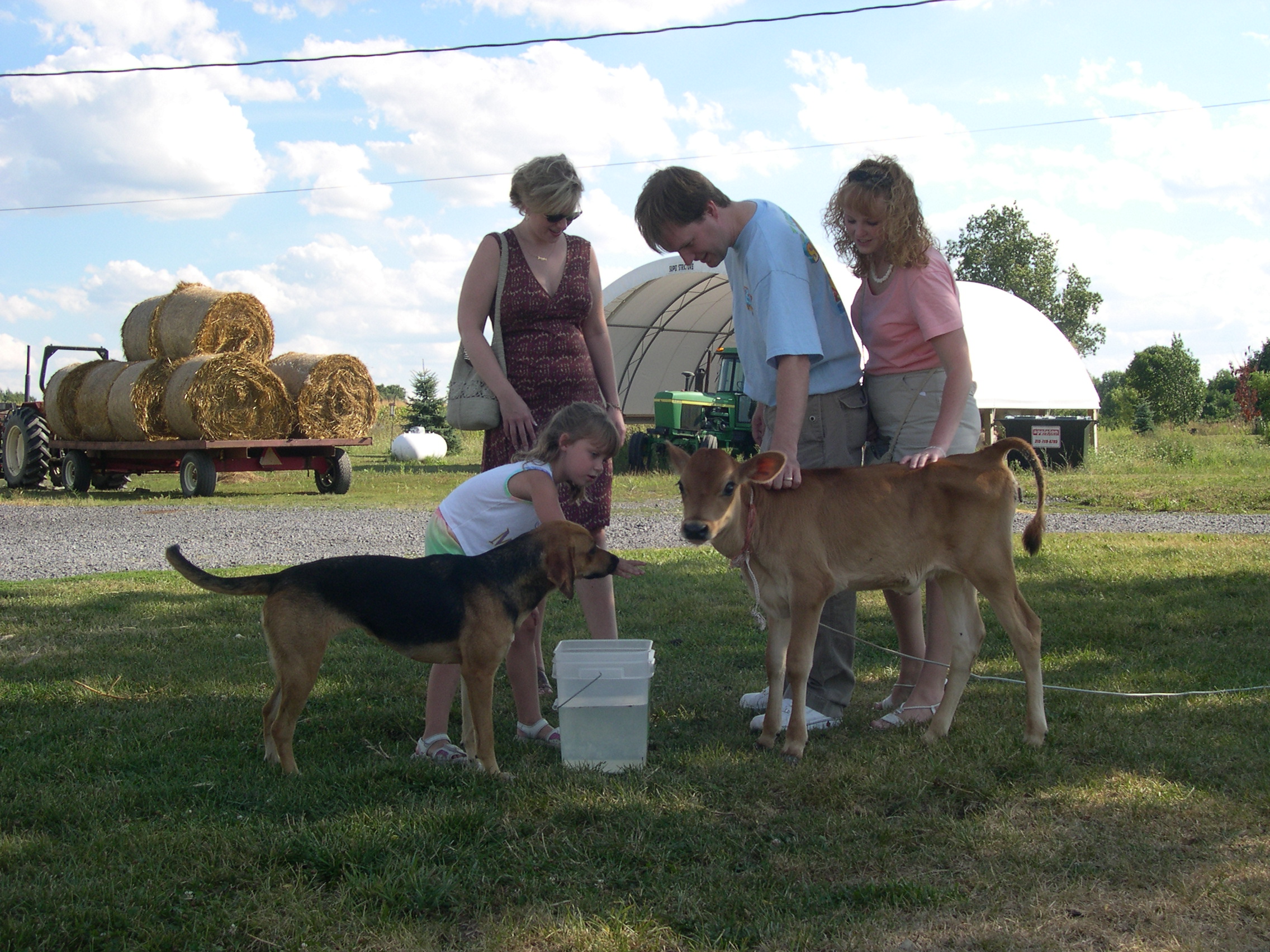 Petting the animals