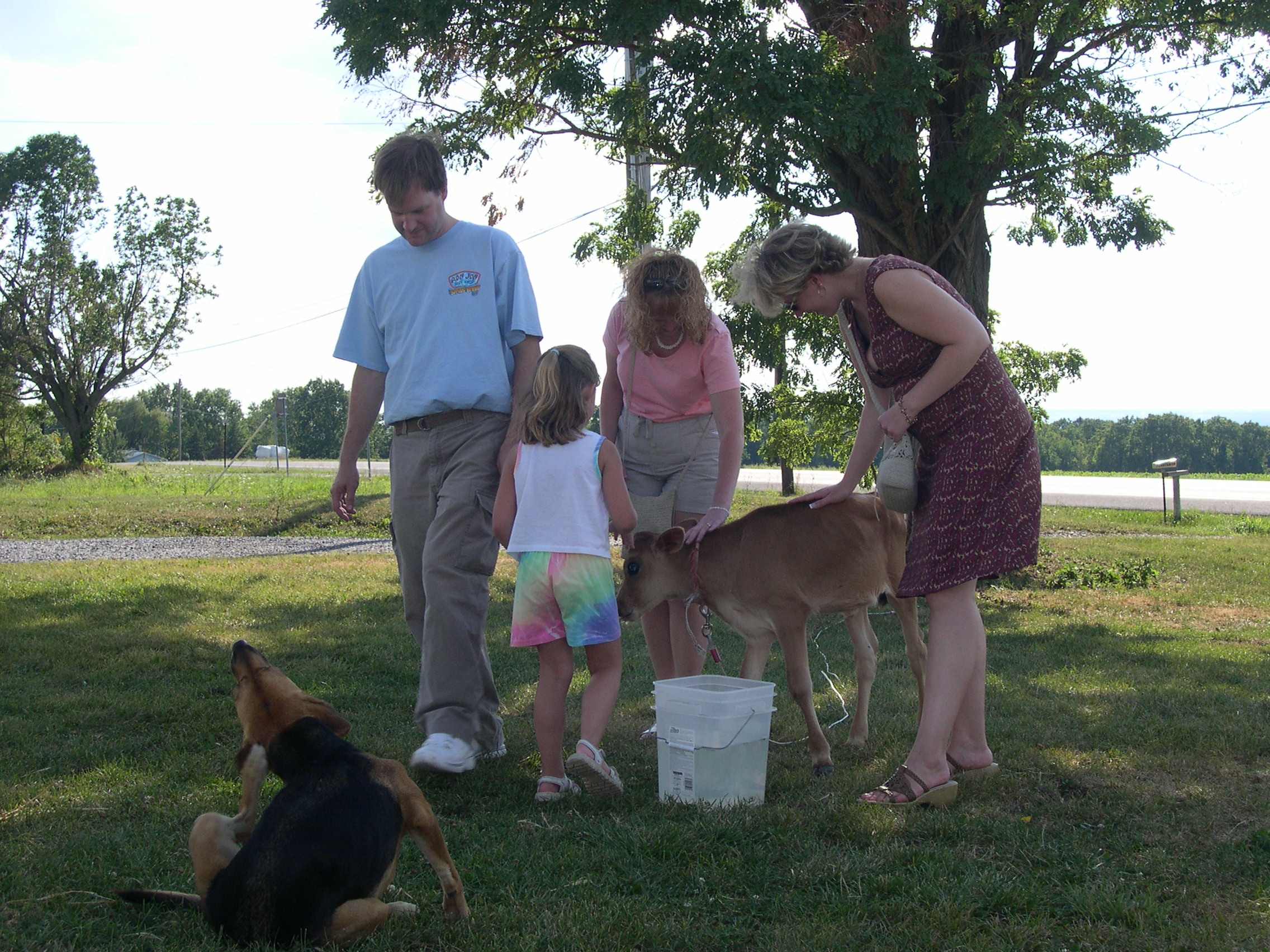 Petting the animals