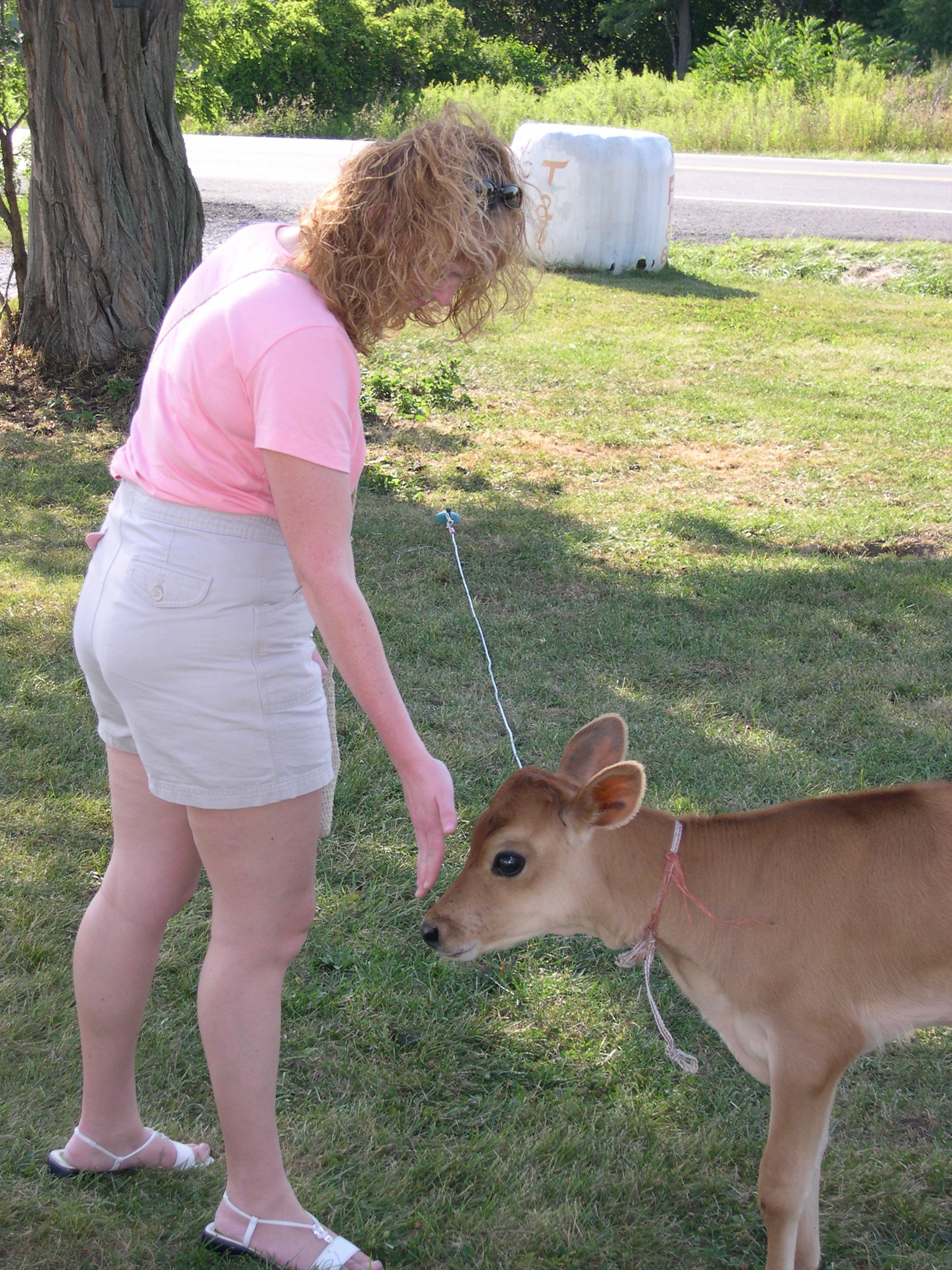 Wendy + cow