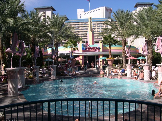 The Flamingo Pool