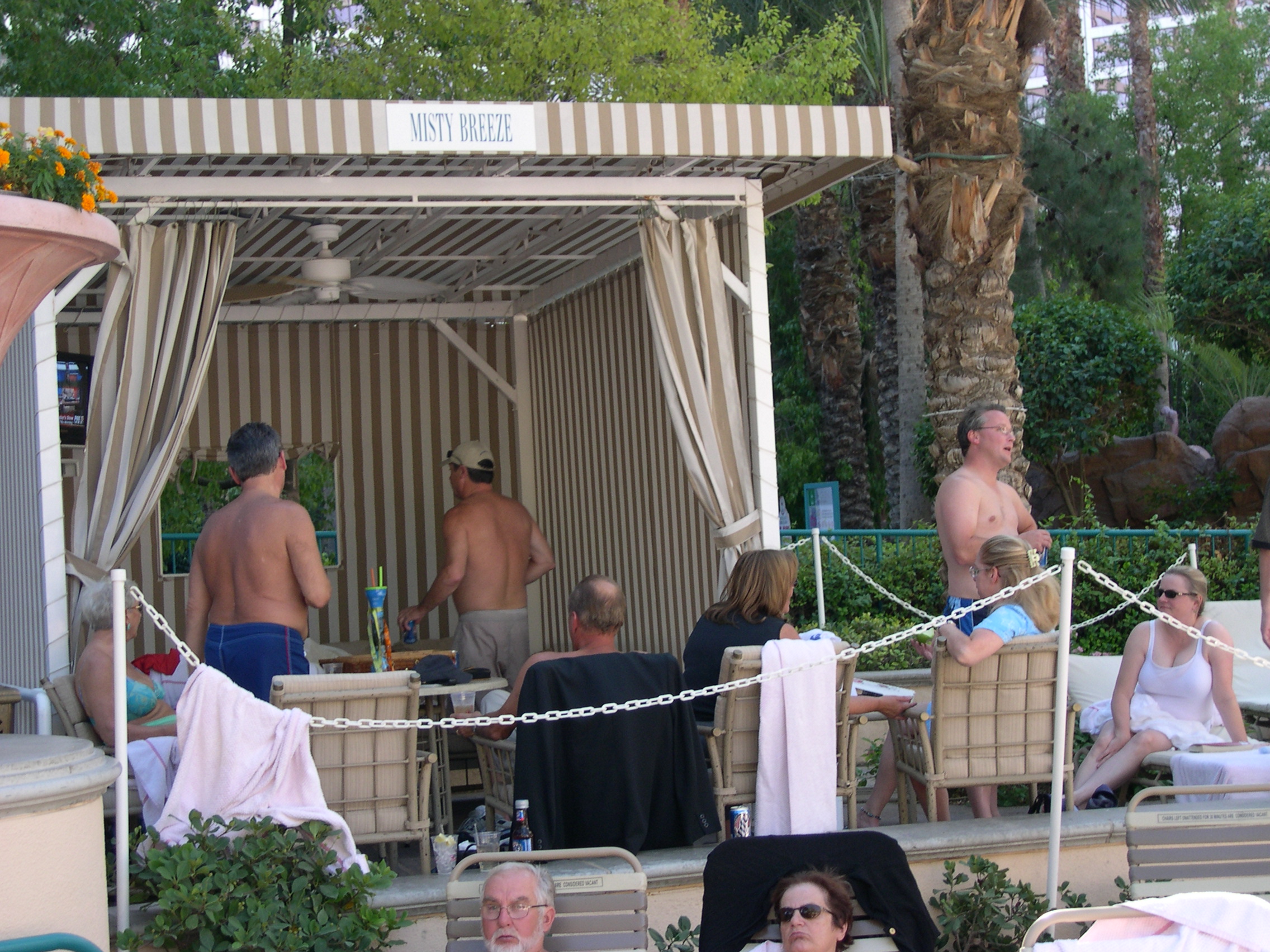 Drinking in the Shade