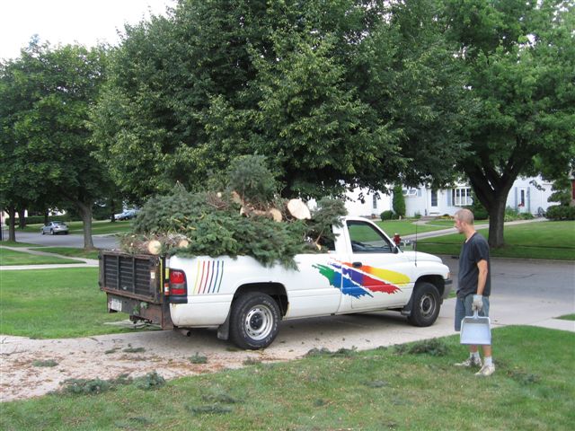 Tree Removal 013