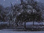 October Surprise Storm
