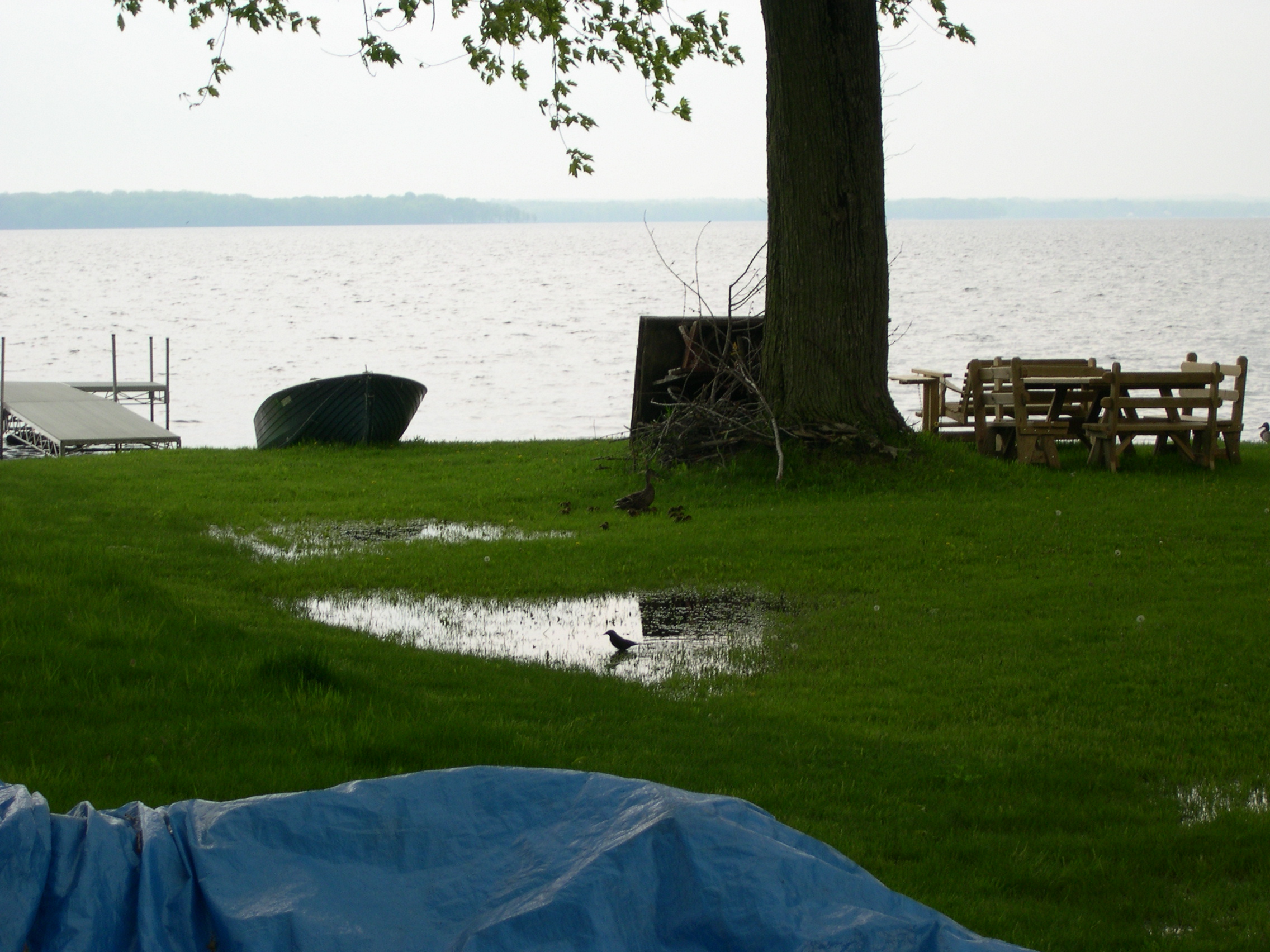 Oneida Lake