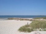 Cape Cod