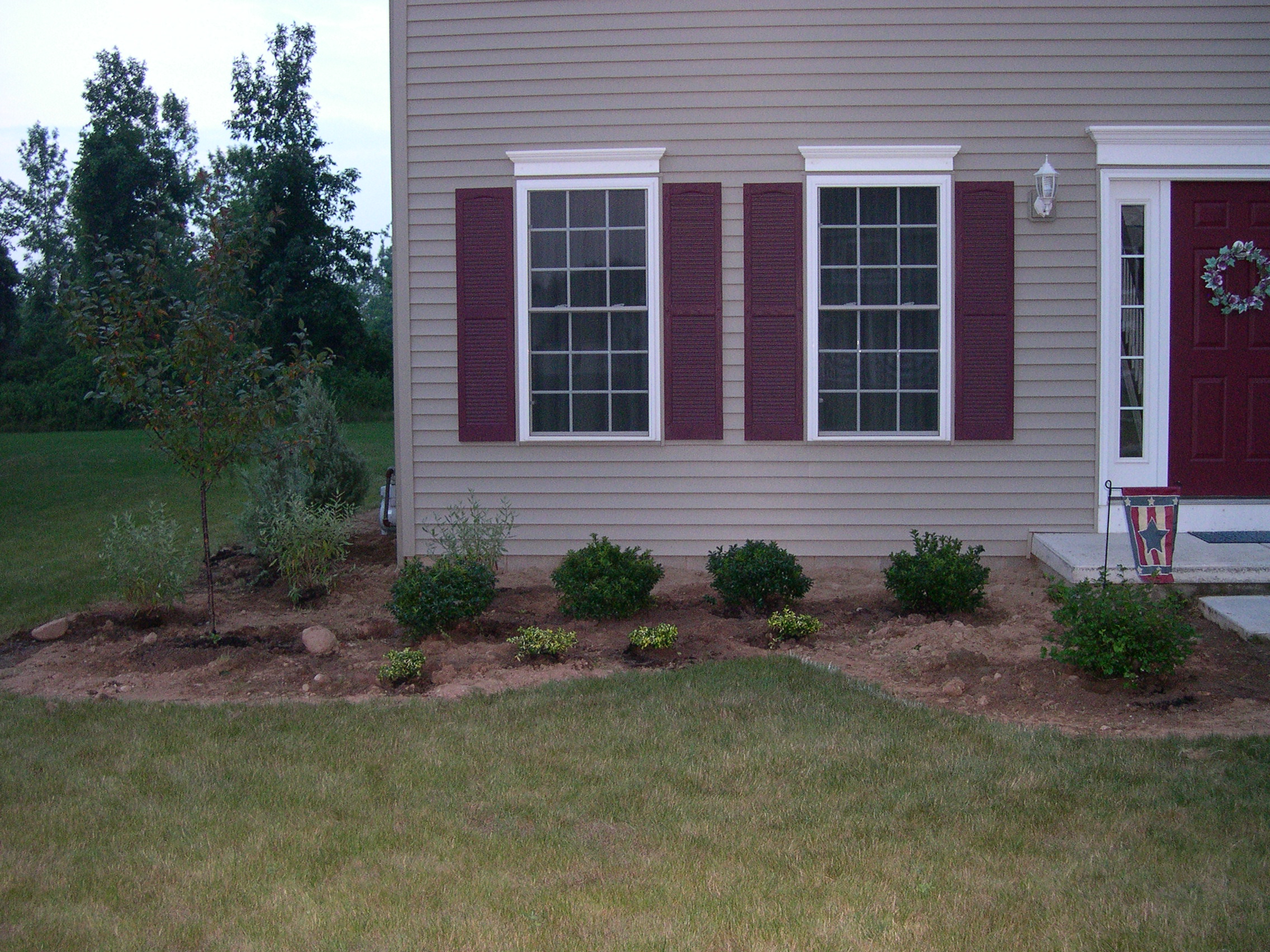 Front shrubs