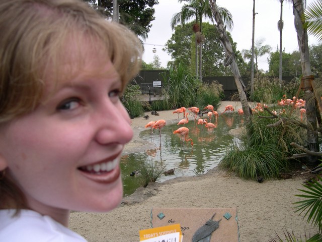 Jen and the flamingos