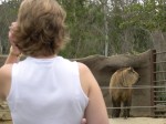 Jen checking out the yak